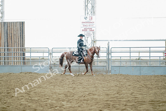 July 21, 2019 - 09333