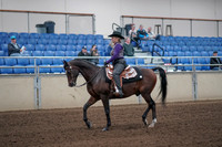 2019 Morgan Horse Show - Aug 31, 2019 - 10539