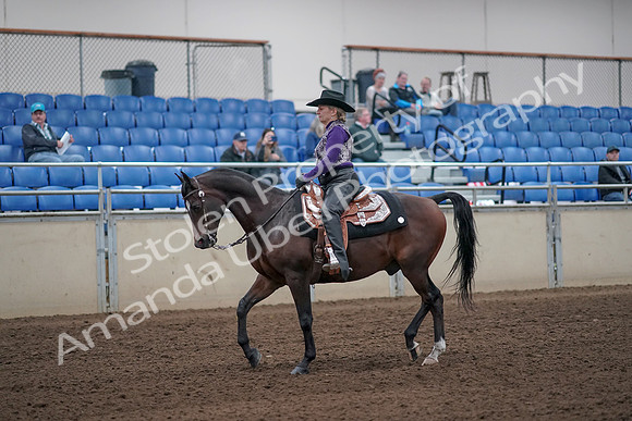 2019 Morgan Horse Show - Aug 31, 2019 - 10539