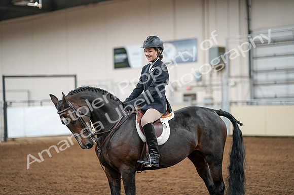 2020 - AB Morgan Horse - Fri, Sept 04 - 02075