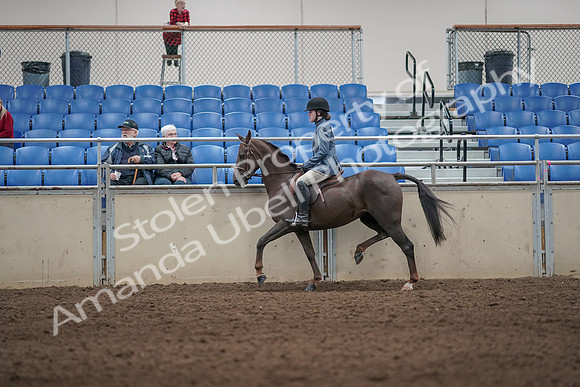 2019 Morgan Horse Show - Aug 31, 2019 - 07205