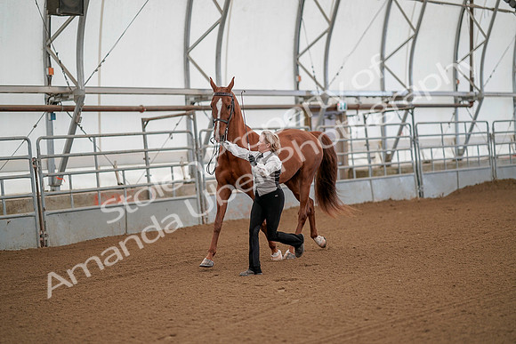 July 19, 2019 - 61