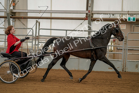 July 20, 2019 - 00252
