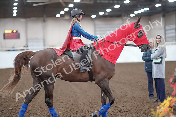 2019 Morgan Horse Show - Aug 31, 2019 - 10014