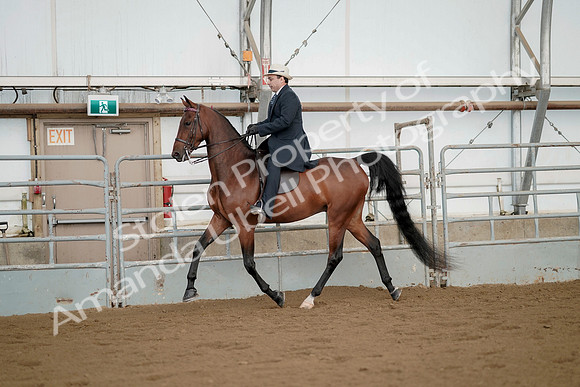 July 21, 2019 - 01666