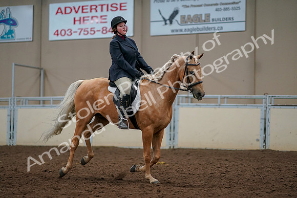 2019 Morgan Horse Show - Aug 30, 2019 - 22531