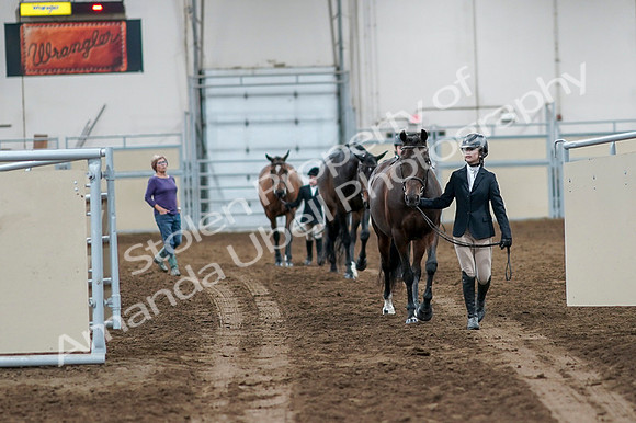 2020 - AB Morgan Horse - Fri, Sept 04 - 00727
