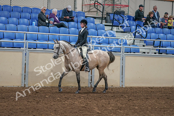 2020 - AB Morgan Horse - Sat, Sept 05 - 01188