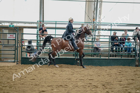 July 21, 2019 - 01875