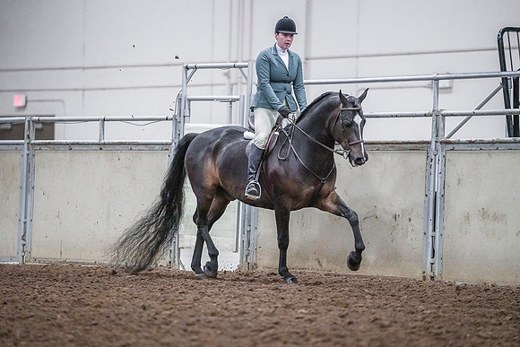 Spring Fling - Saturday - April 20, 2019  -  03832