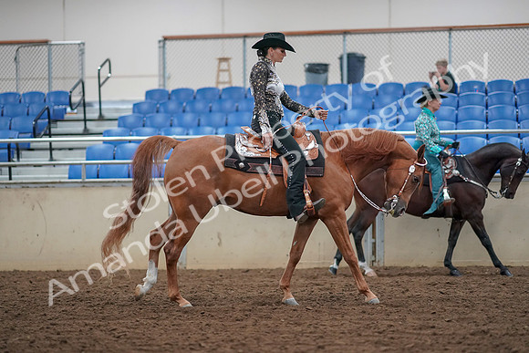 2019 Morgan Horse Show - Aug 30, 2019 - 16973