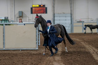 2020 - AB Morgan Horse - Fri, Sept 04 - 00669