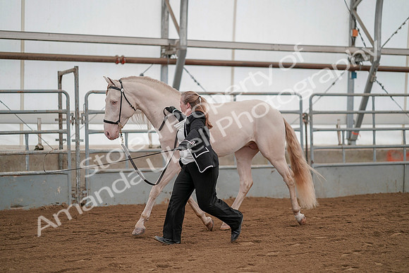 July 19, 2019 - 1315