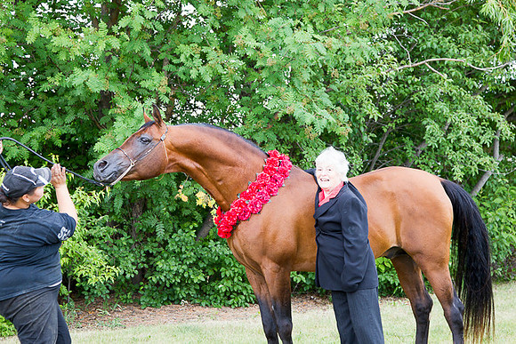 _P3A1336