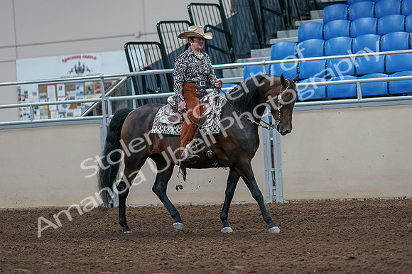 2020 - AB Morgan Horse - Fri, Sept 04 - 00098