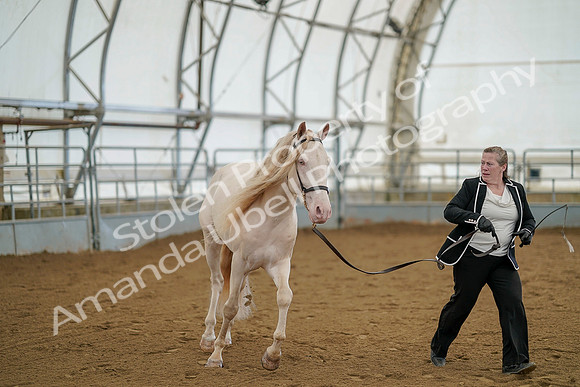 July 19, 2019 - 1142