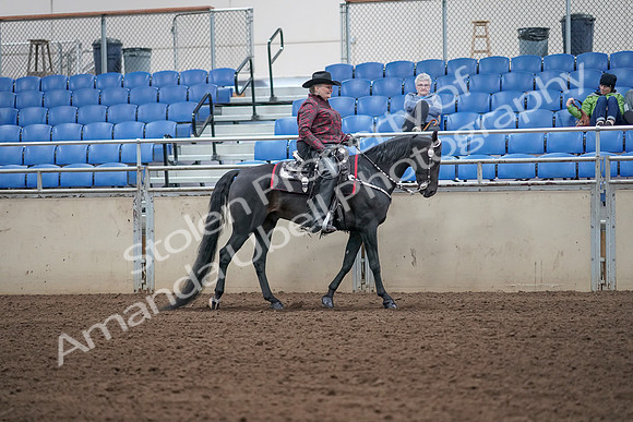 2019 Morgan Horse Show - Aug 31, 2019 - 10750