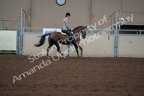 2019 Morgan Horse Show - Aug 30, 2019 - 18577