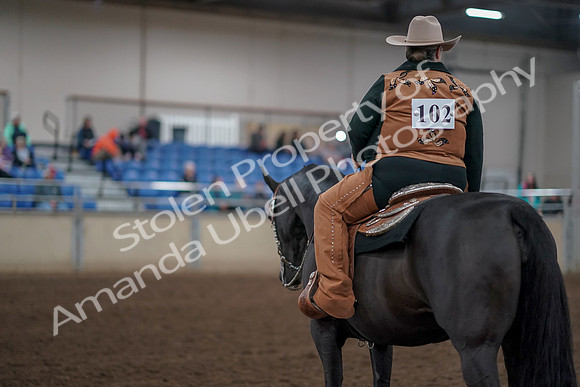 2019 Morgan Horse Show - Aug 31, 2019 - 06250