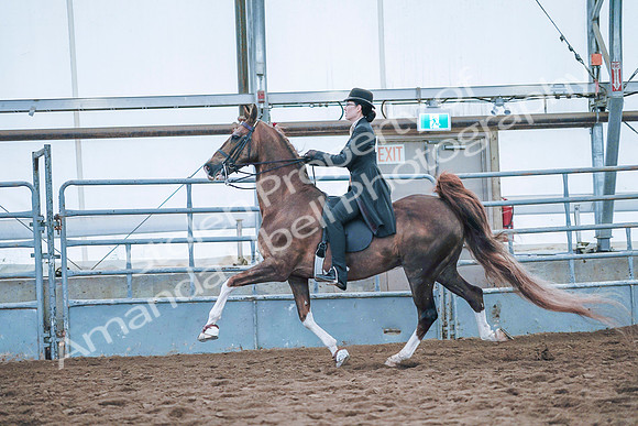 July 20, 2019 - 24055