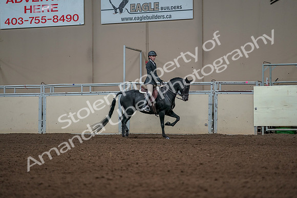 2019 Morgan Horse Show - Aug 31, 2019 - 05168