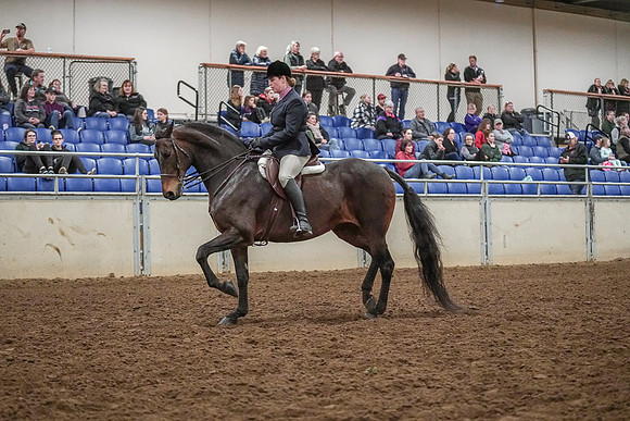 Spring Fling - Saturday - April 20, 2019  -  04532
