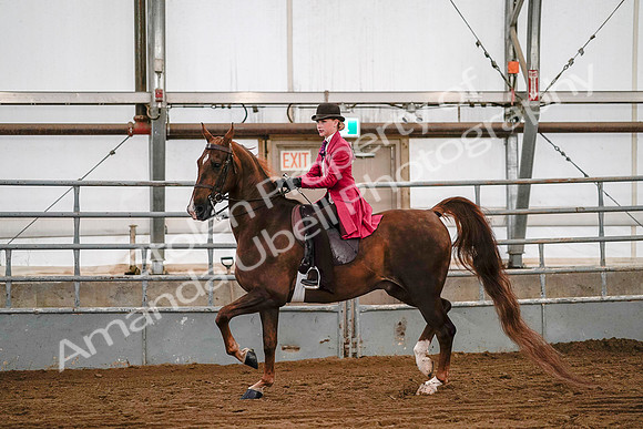 July 19, 2019 - 8743