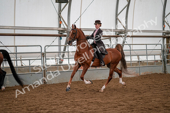 July 19, 2019 - 10499