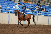 2020 - AB Morgan Horse - Fri, Sept 04 - 04471