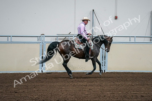 2020 - AB Morgan Horse - Fri, Sept 04 - 00566