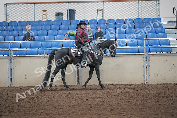 2019 Morgan Horse Show - Aug 31, 2019 - 10767