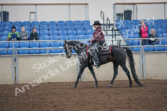 2019 Morgan Horse Show - Aug 31, 2019 - 10570