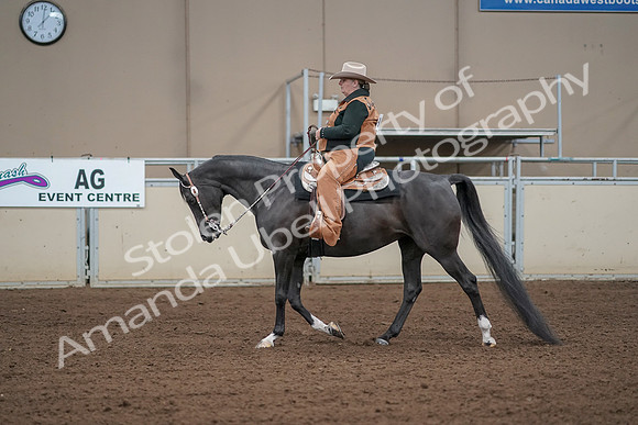2019 Morgan Horse Show - Aug 31, 2019 - 06066