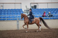 2019 Morgan Horse Show - Aug 31, 2019 - 16896