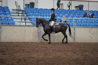 2019 Morgan Horse Show - Sept 01, 2019 - 09015