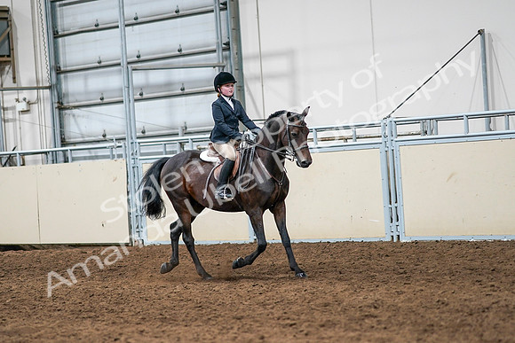 2020 - AB Morgan Horse - Sun, Sept 06 - 08131
