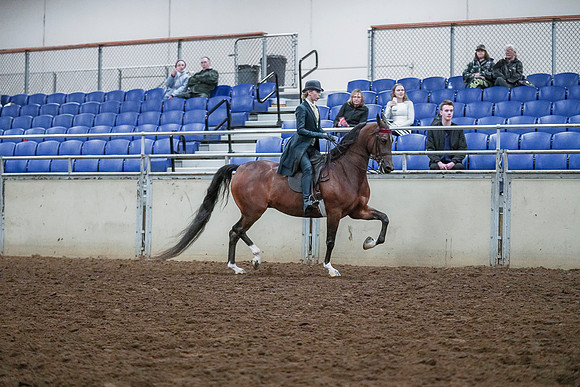 Spring Fling - Saturday - April 20, 2019  -  00795