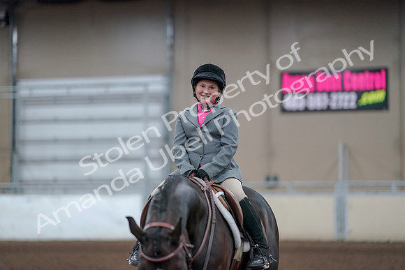 2019 Morgan Horse Show - Aug 31, 2019 - 19740
