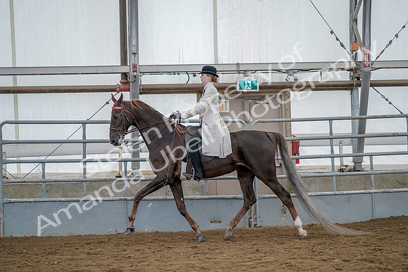 July 20, 2019 - 14672