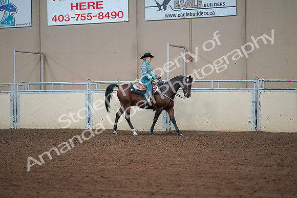 2019 Morgan Horse Show - Aug 30, 2019 - 17043