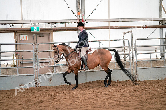 July 19, 2019 - 11205