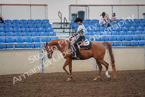 2019 Morgan Horse Show - Aug 30, 2019 - 16734
