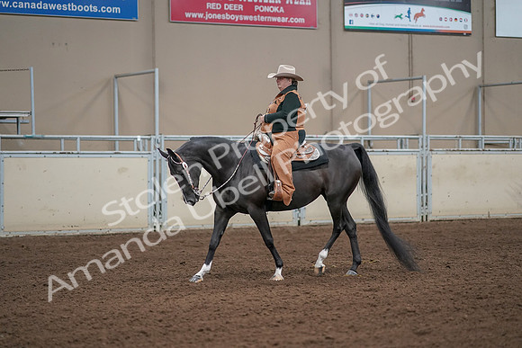 2019 Morgan Horse Show - Aug 31, 2019 - 06048
