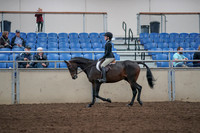 2019 Morgan Horse Show - Aug 31, 2019 - 08044