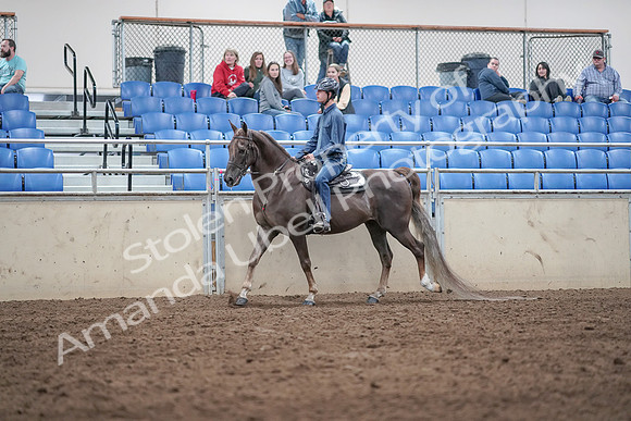 2019 Morgan Horse Show - Aug 31, 2019 - 21386