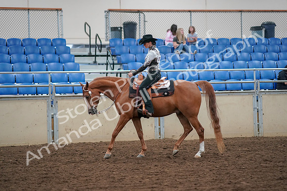 2019 Morgan Horse Show - Aug 30, 2019 - 16729