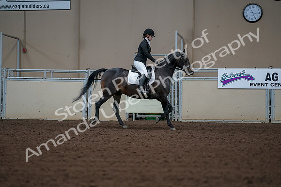 2019 Morgan Horse Show - Aug 30, 2019 - 18537