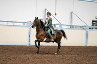 2020 - AB Morgan Horse - Fri, Sept 04 - 03288