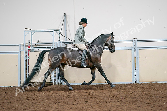 2020 - AB Morgan Horse - Sat, Sept 05 - 14515
