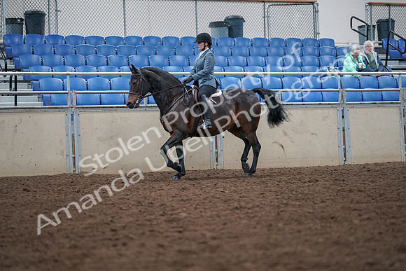 2019 Morgan Horse Show - Aug 30, 2019 - 18319